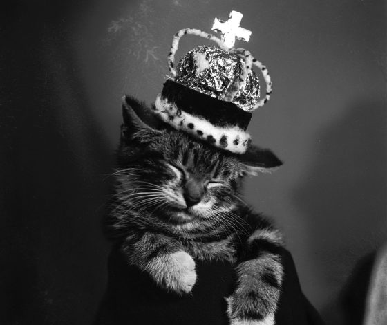 После теракта: трогательный флешмоб, посвященный Испании