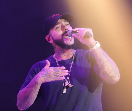 Тимати, Алла Пугачева, Вера Брежнева, Андрей Малахов и другие на свадьбе младшего сына Самвела Карапетяна