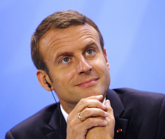 Лабрадор президента Франции прервал официальную встречу. Как? Он помочился в Елисейском дворце!