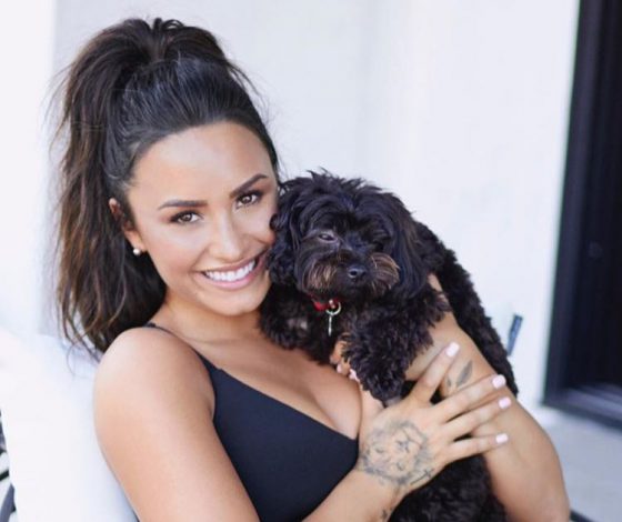 Шокирующие снимки Деми Ловато! До булимии и после!