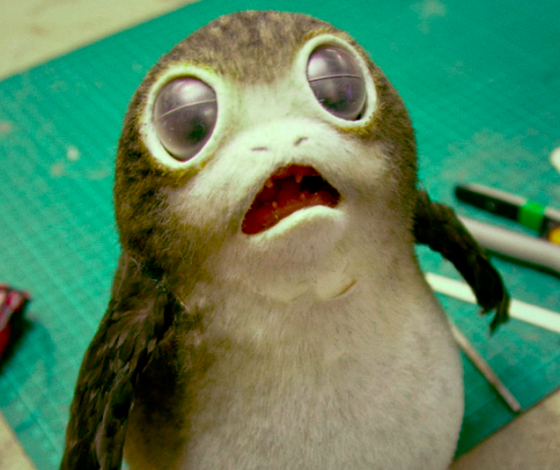 Вся планета сходит с ума от поргов, и ты тоже будешь. Что это такое?