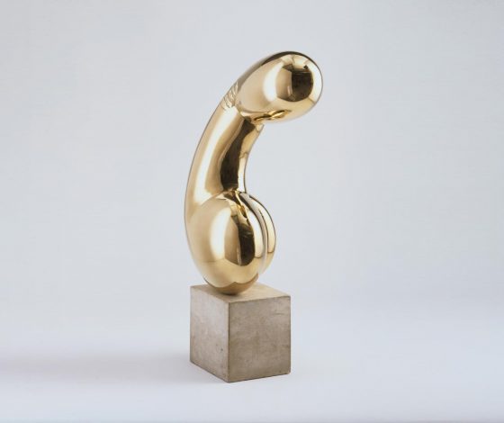 Что такое пенис: 20 интересных фактов о мужском половом члене