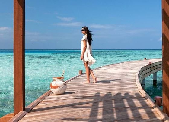 Где провести идеальный Новый год?