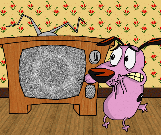 Какая программа стала самой популярной в 2017 году? «Бабьего бунта» в списке нет