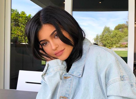 Кайли Дженнер выпустила кисти для макияжа за 360 долларов. И поплатилась!