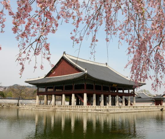 Пять причин, почему тебе обязательно нужно съездить в Корею