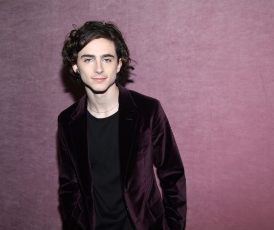 Новое имя. Актер Тимоти Шаламе. Почему его нужно знать?