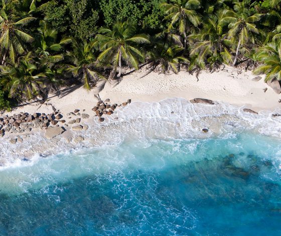 Лучший пляж в мире, черепахи и кокосовый ром: зачем лететь на Сейшелы