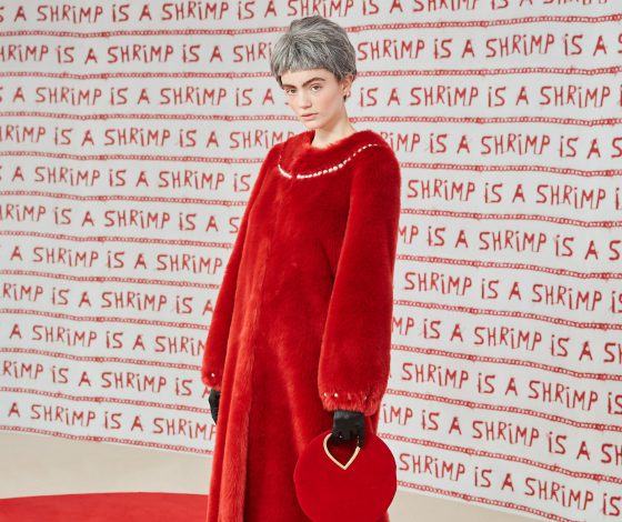 Как выглядит новая коллекция Shrimps?