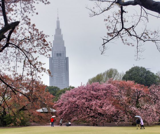 Где остановиться в Токио?