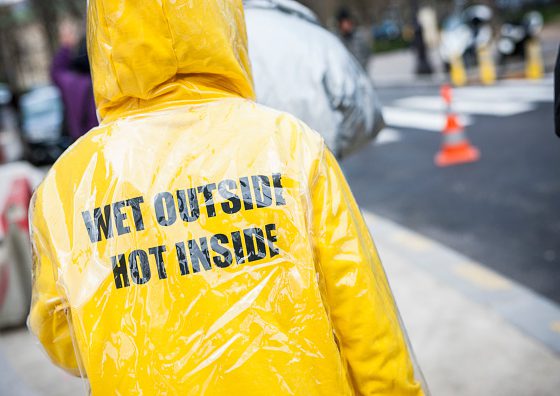 Попробуй угадать: все о самой модной покупке сезона здесь
