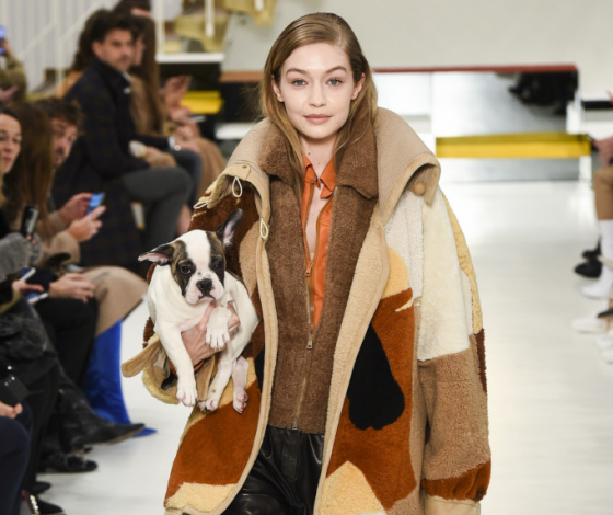 Почему Tod's станет самым милым показом модного месяца?