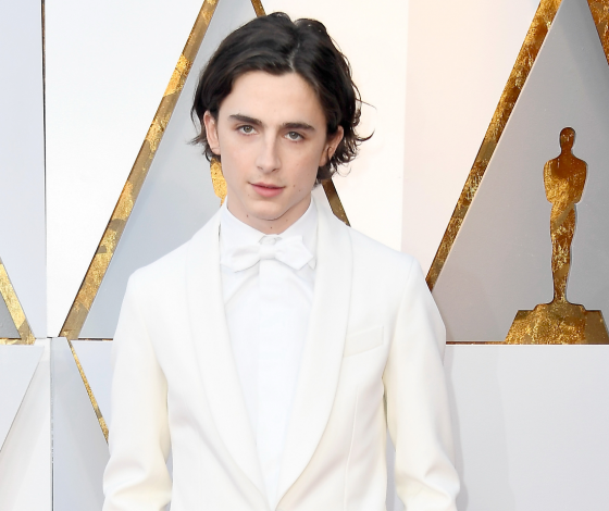 Эта девушка летела в одном самолете с Тимоти Шаламе. И она рассказала о нем ВСЕ!