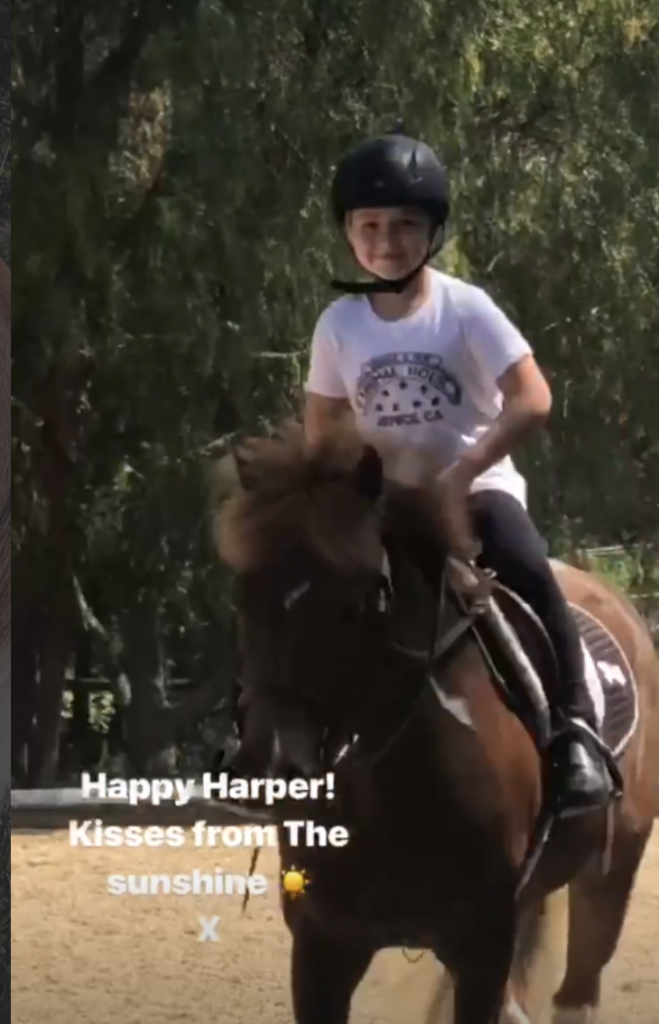 Харпер на коне