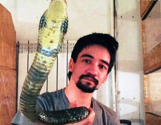 От аварии до черной мамбы: 7 смертей в прямом эфире