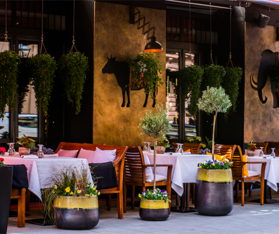 Ресторан «Бок»: как правильно выбрать вино?