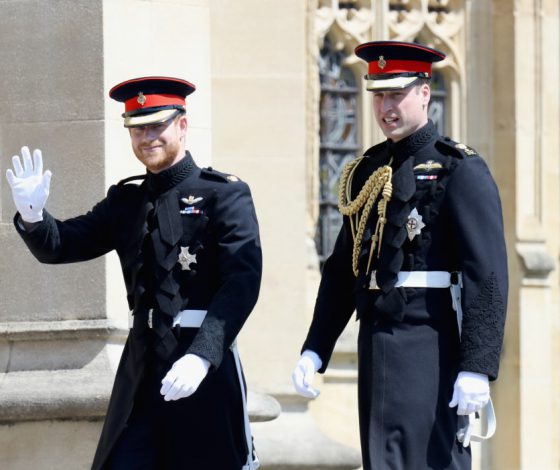 Раздел имущества: принцы Уильям и Гарри делят средства благотворительного фонда принцессы Дианы