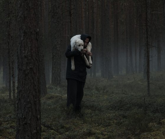 Все победители 29-го «Кинотавра» здесь! 