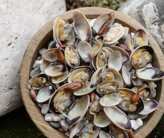 Ресторан Bjorn: новое меню. Такого ты еще не пробовал!