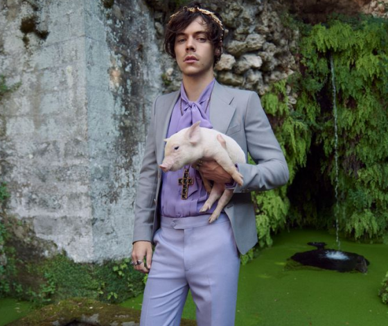 Самое милое, что ты увидишь сегодня: Гарри Стайлс и свинки в новой кампании Gucci