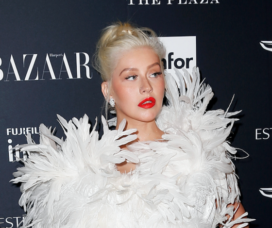 Кристина Агилера на Неделе моды в… перьях