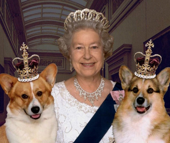Умер последний корги королевы Елизаветы II