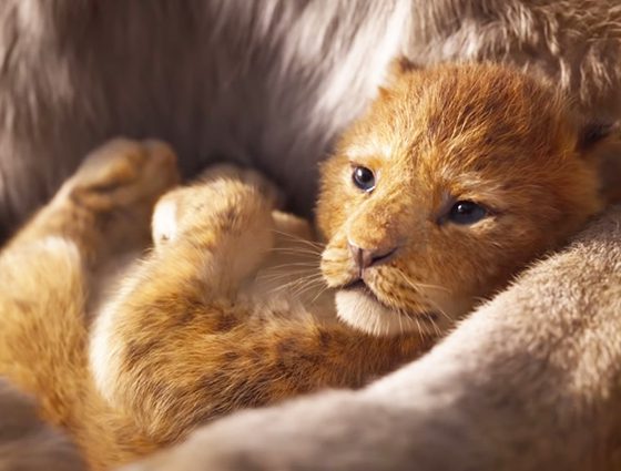 Неприятно! Аниматор мультфильма «Король Лев» раскритиковал ремейк