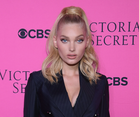 Эльза Хоск выйдет на подиум Victoria's Secret в белье за миллион долларов! Что мы о ней знаем?