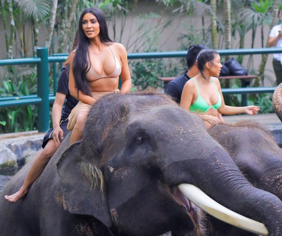 Фото дня: Ким Кардашьян в купальнике на слоне