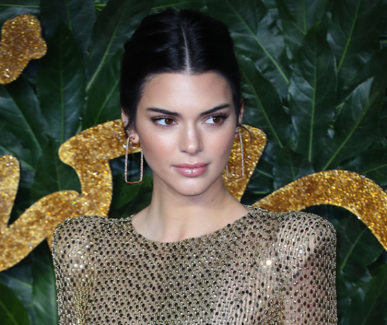 Смело! Кендалл в откровенном платье на British Fashion Awards