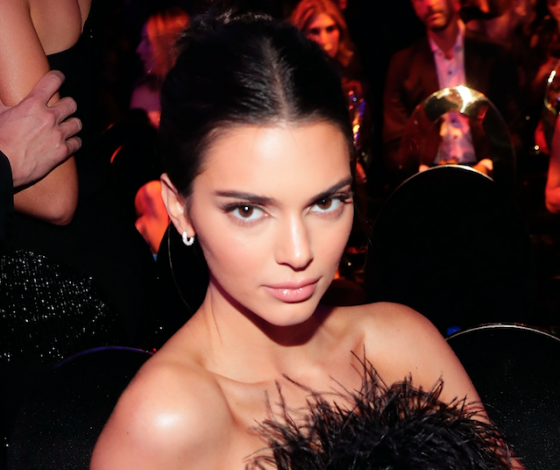 Даже в Рождество скандал! Почему на открытке семейства Кардашьян-Дженнер нет Кендалл и Крис?