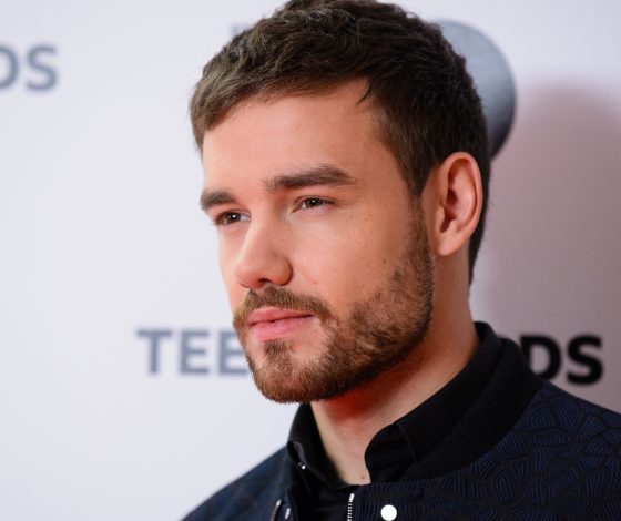 С кем Лиам Пейн флиртует в Instagram? Спойлер: она старше в два раза