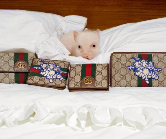 Gucci выпустили коллекцию к китайскому Новому году… с поросятами!