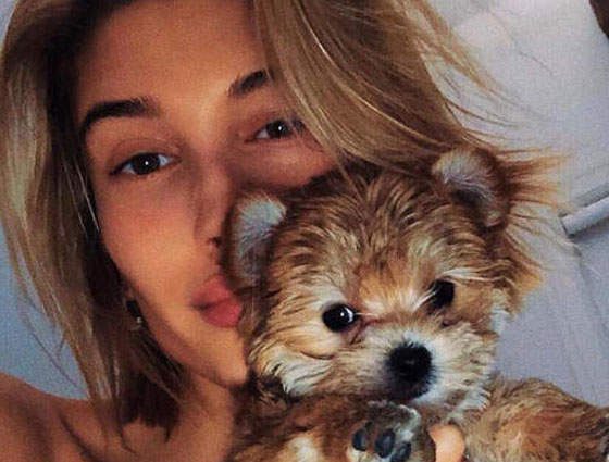 Милота дня: это самый крутой звездный питомец