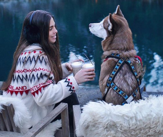 Как привлечь подписчиков и сколько это стоит? Советы успешного блогера