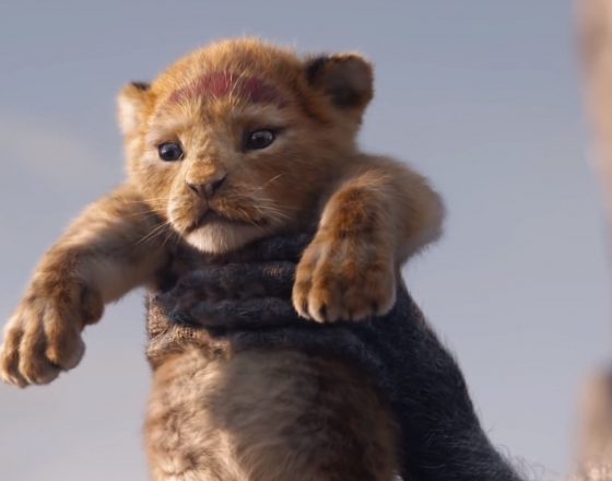 Самое милое, что ты увидишь сегодня. Новый тизер «Короля Льва»