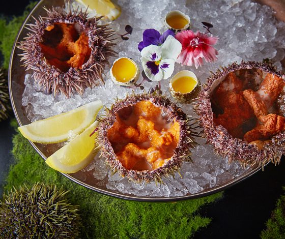 Ресторан Humans Seafood Bar на Патриках: очень выгодная акция