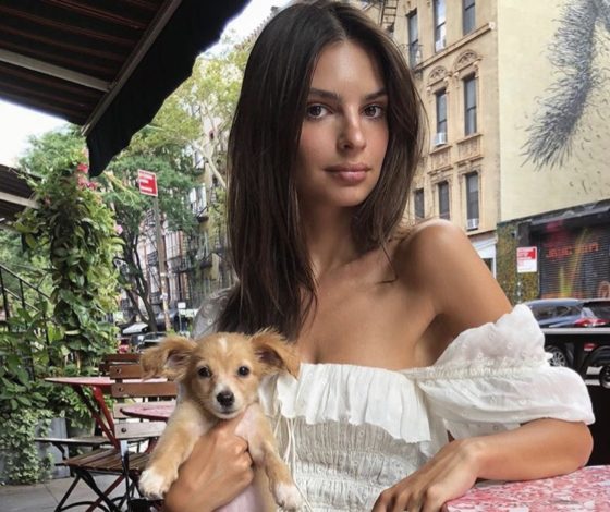 10 платьев, как у звезд, которые должны быть в твоем гардеробе этой весной!