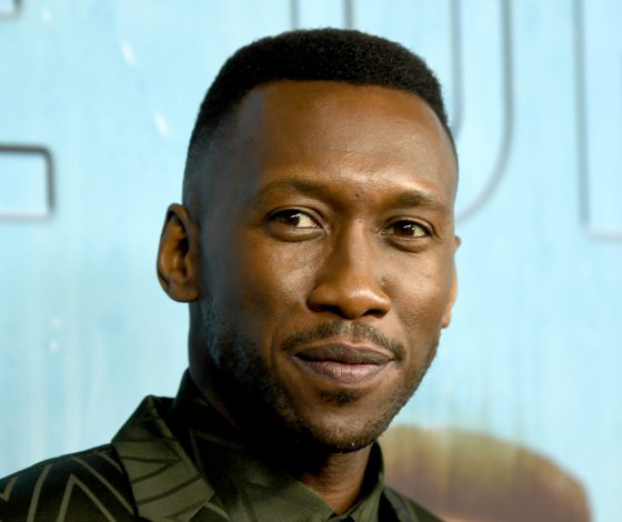 Любимец «Оскара»! Что надо знать о звезде «Зеленой книги» Махершале Али?