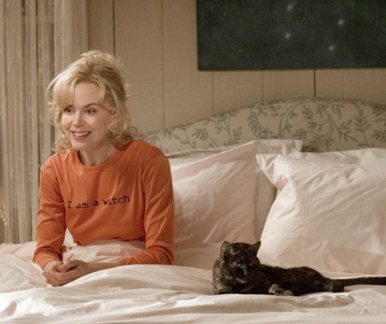 Самый мимишный тест: угадай фильм по котику