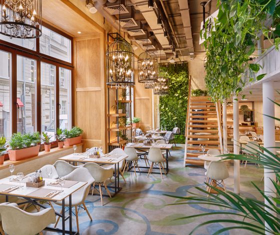 Ресторан Little Garden Kitchen&Bar: специальное предложение в честь 8 Марта