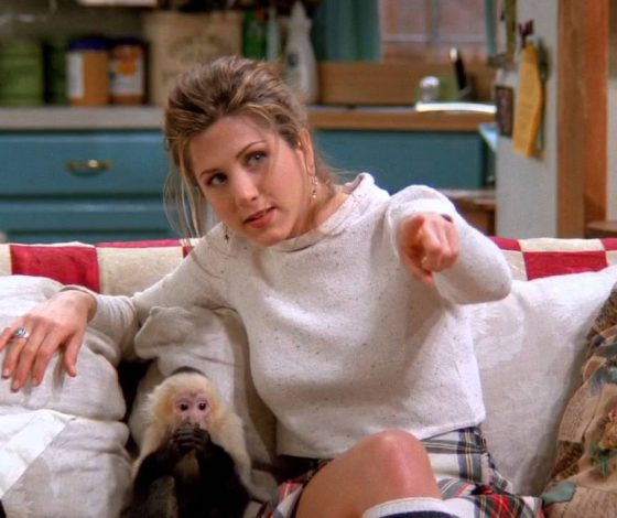 Неожиданно: кто из «Друзей» терпеть не мог обезьяну Марселя?