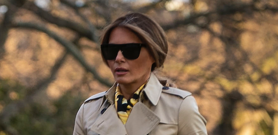 Новый выход Дональда и Мелании Трамп. Нам нужен такой же тренч!