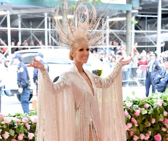 А что, простите, у нее на голове? Селин Дион на ковровой дорожке Met Gala