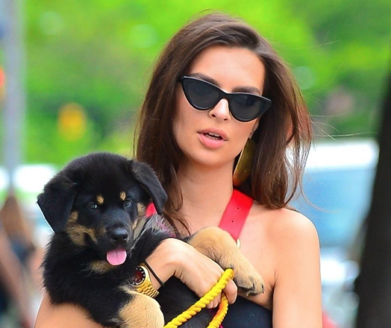 Какая фигура! Новый откровенный выход Эмили Ратаковски