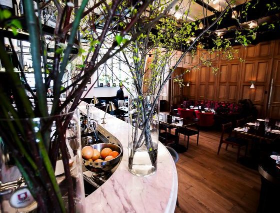 Где поесть в Питере: пароли, явки и лучшие коктейли в городе