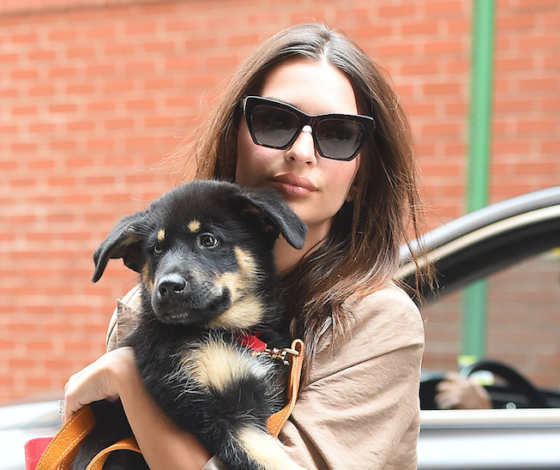 Какие ноги! Два новых выхода Эмили Ратаковски в Нью-Йорке