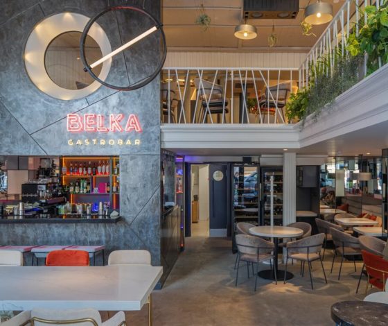 Место недели: Belka Gastro Bar (твой новый любимый бар)