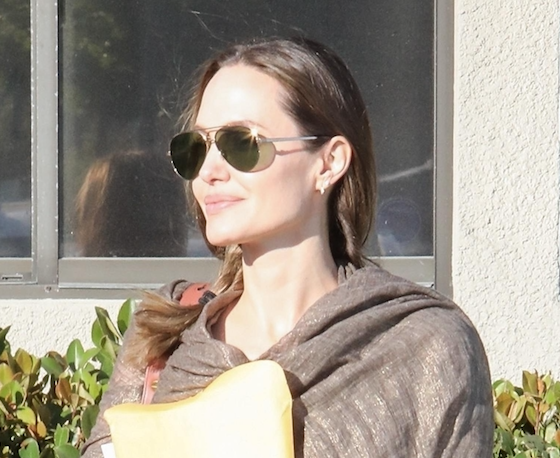 Обожаем их семью! Анджелина Джоли с детьми гуляет в парке аттракционов