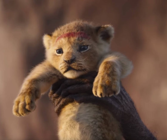 Это очень мило: на что мальчик, озвучивший Симбу в «Короле Льве», потратит свой гонорар?